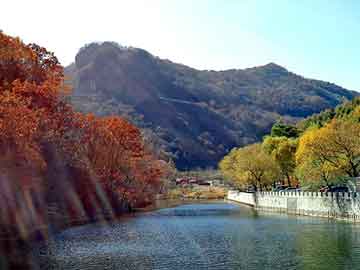 新澳天天开奖资料大全旅游团，北京华义